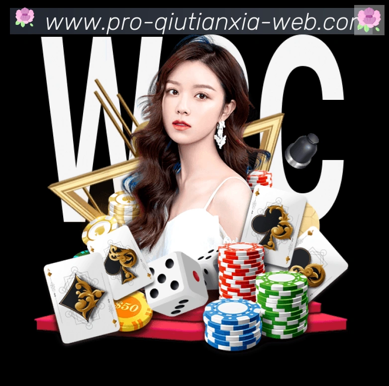 未来规划